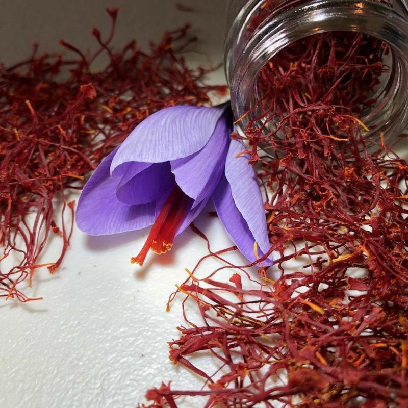 Über die Cooperative Ourgh Aznagh