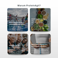 ProteinAgil – Muskelmasse Muskelerhalt pflanzliches Protein – AgilPharma