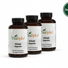 Shilajit 20% Fulvinsäure 3er-Pack Bundle - 3 Monate Vorrat mit 15% Mengenrabatt
